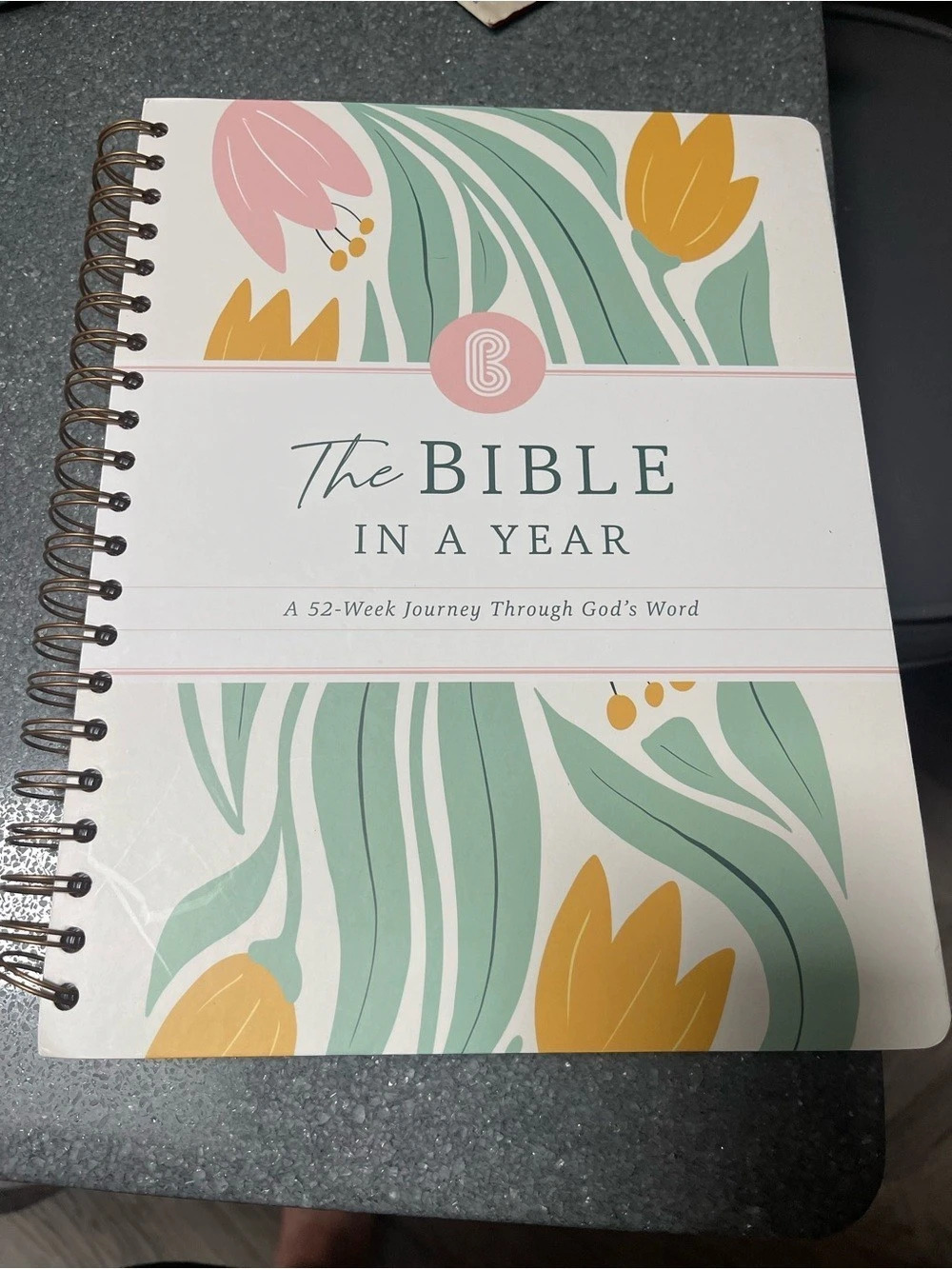 Spiral Bible The Bible in a Year, 52 Week Bible Study Guide (Floral) The 52 Week